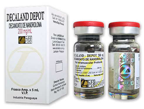 Decland Dc Decaland Deca 200mg, 5ml - Landerlan - Black Bull Anabolics